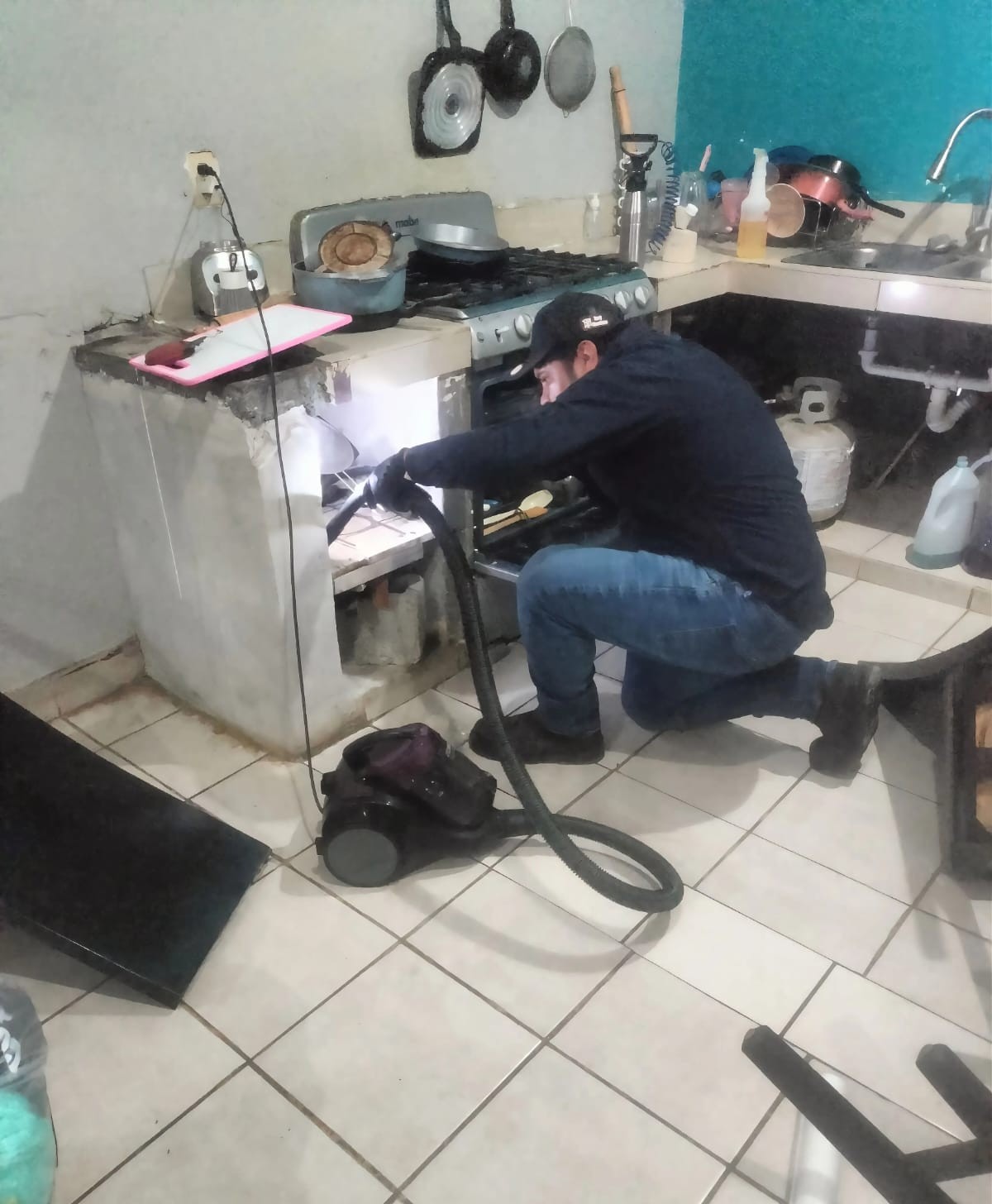 Aspiración profesional de plagas