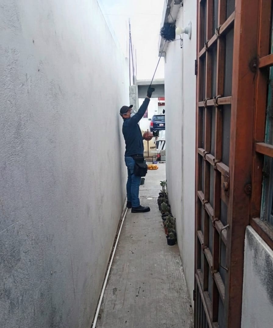 Quitado de telarañas profesional