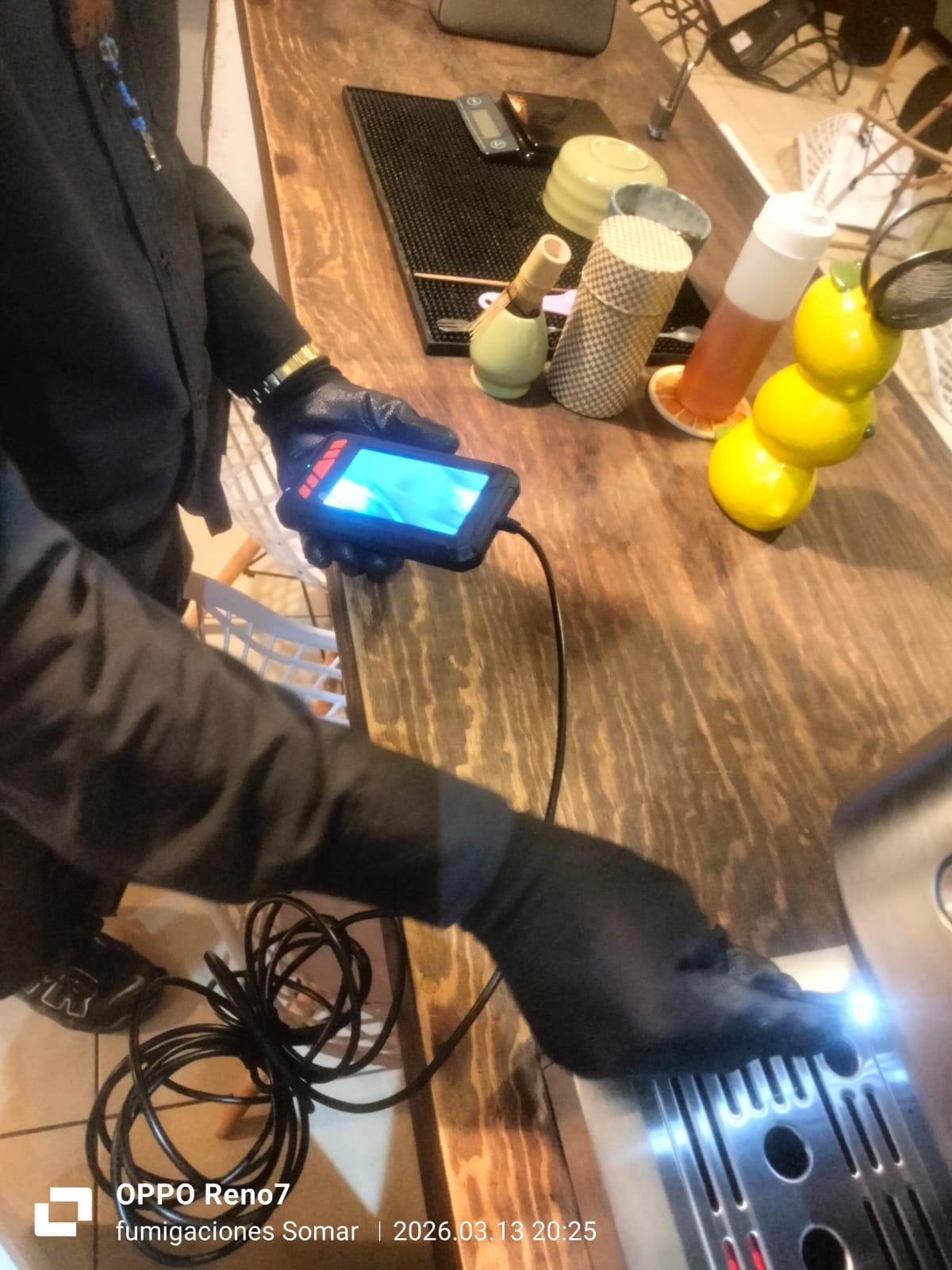 Cámara para monitoreo y detección de actividad de plagas